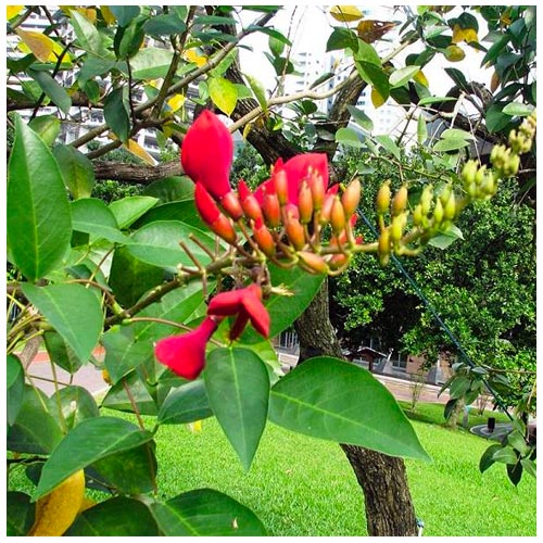 sample photo