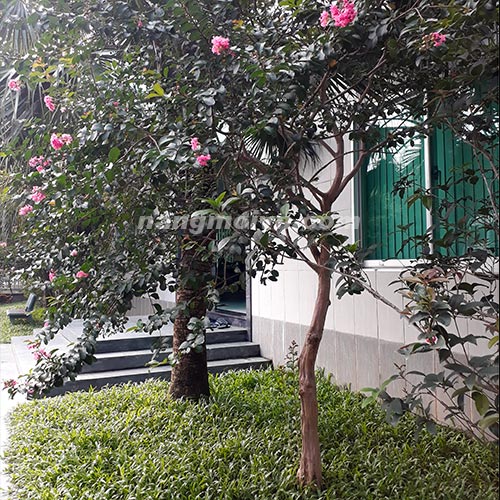 sample photo