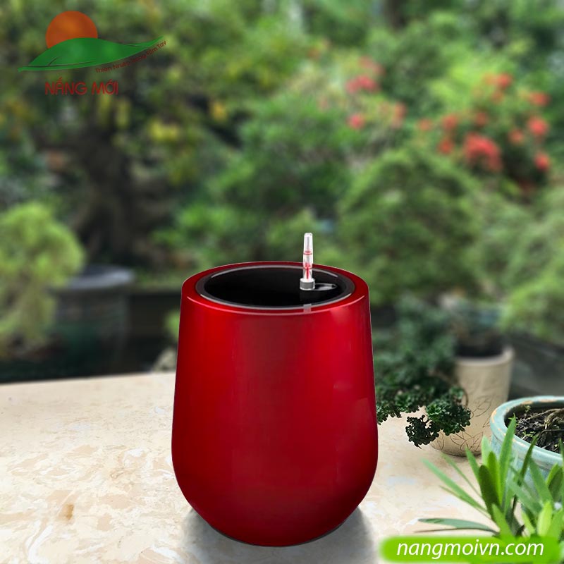 Tròn Bầu Dưới