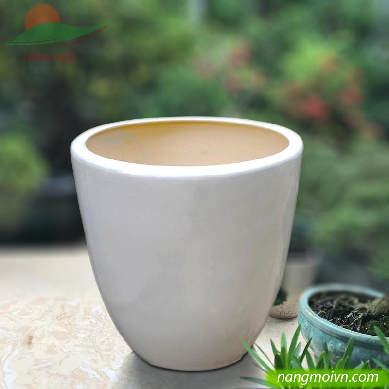 Kiểu Bom