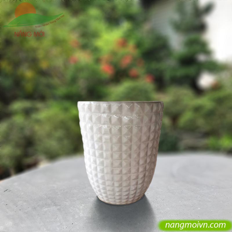 Kim Cương Nổi