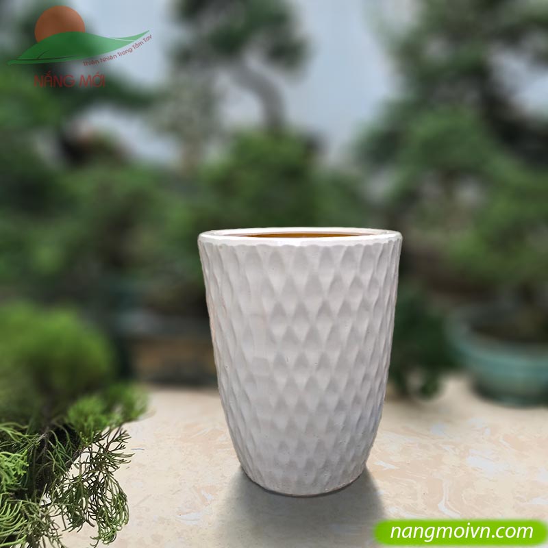 Kiểu Lưới