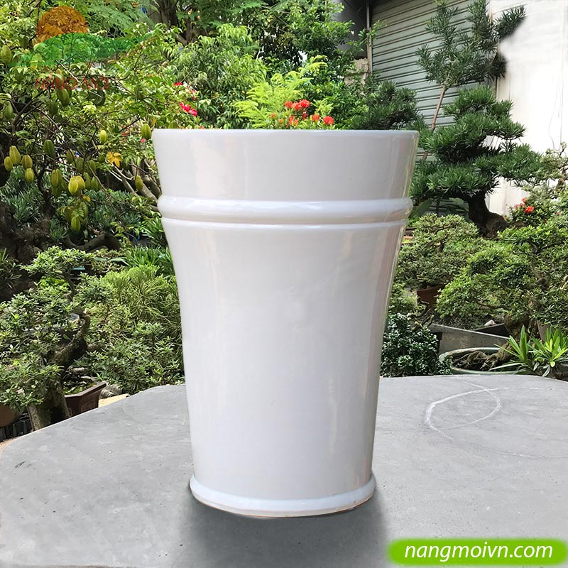 Ống Chỉ Ngang