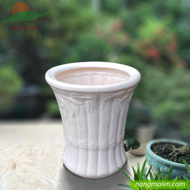 Kiểu Vân Trúc