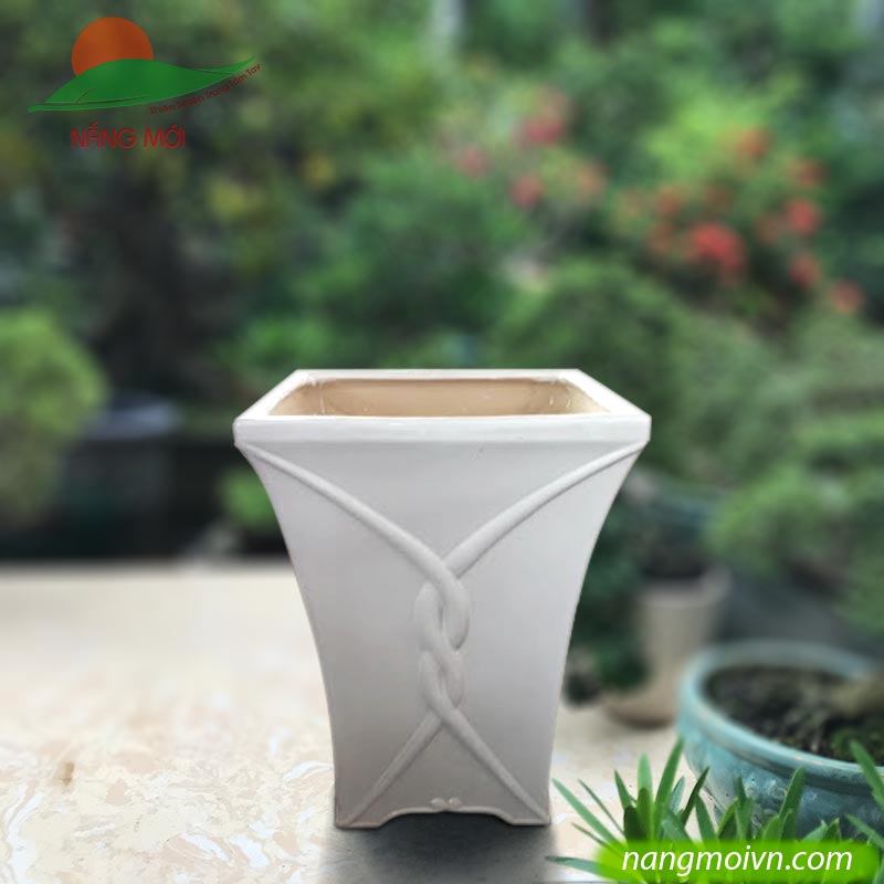 Vuông Chỉ