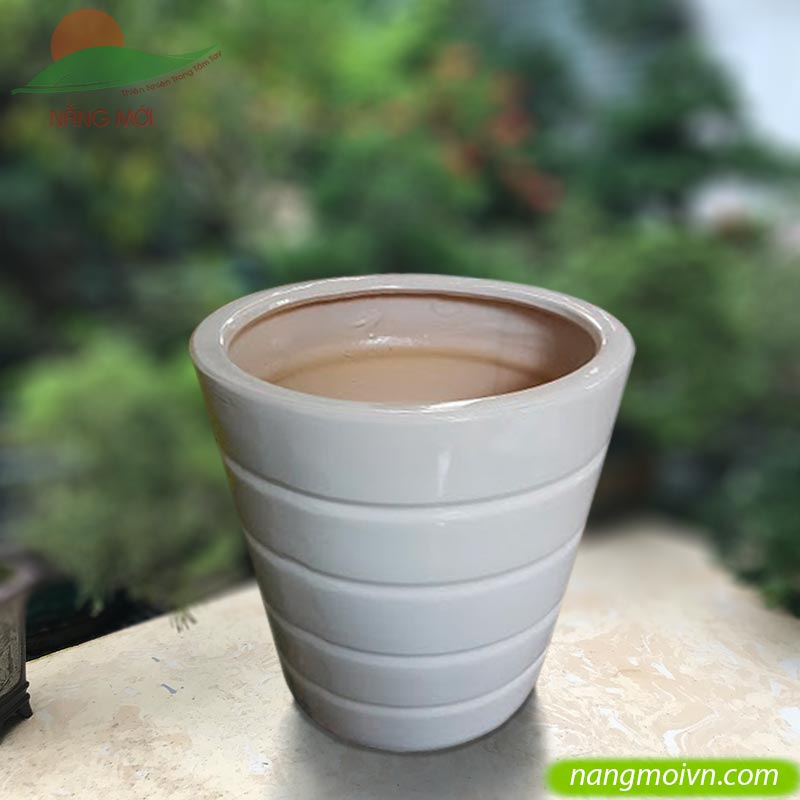 Tròn Chỉ Ngang